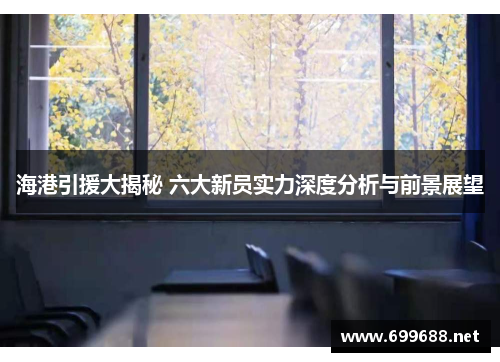海港引援大揭秘 六大新员实力深度分析与前景展望