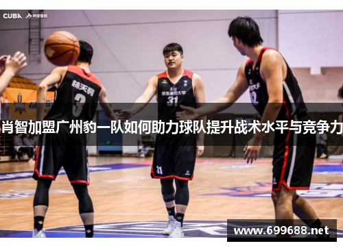 肖智加盟广州豹一队如何助力球队提升战术水平与竞争力